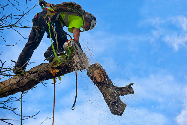 Soil Testing and Treatment in Barrington, IL